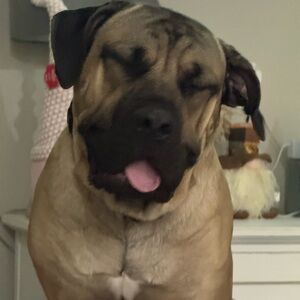 Free Shipping Giveaway